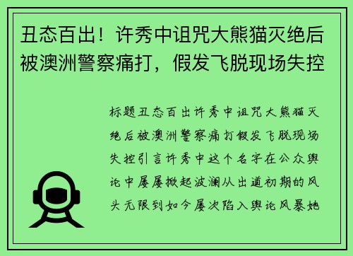 丑态百出！许秀中诅咒大熊猫灭绝后被澳洲警察痛打，假发飞脱现场失控